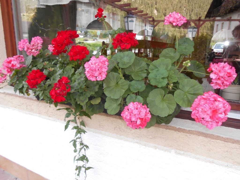 Gasthaus Traube บีเคลบาค ภายนอก รูปภาพ